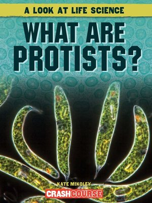 cover image of What Are Protists?